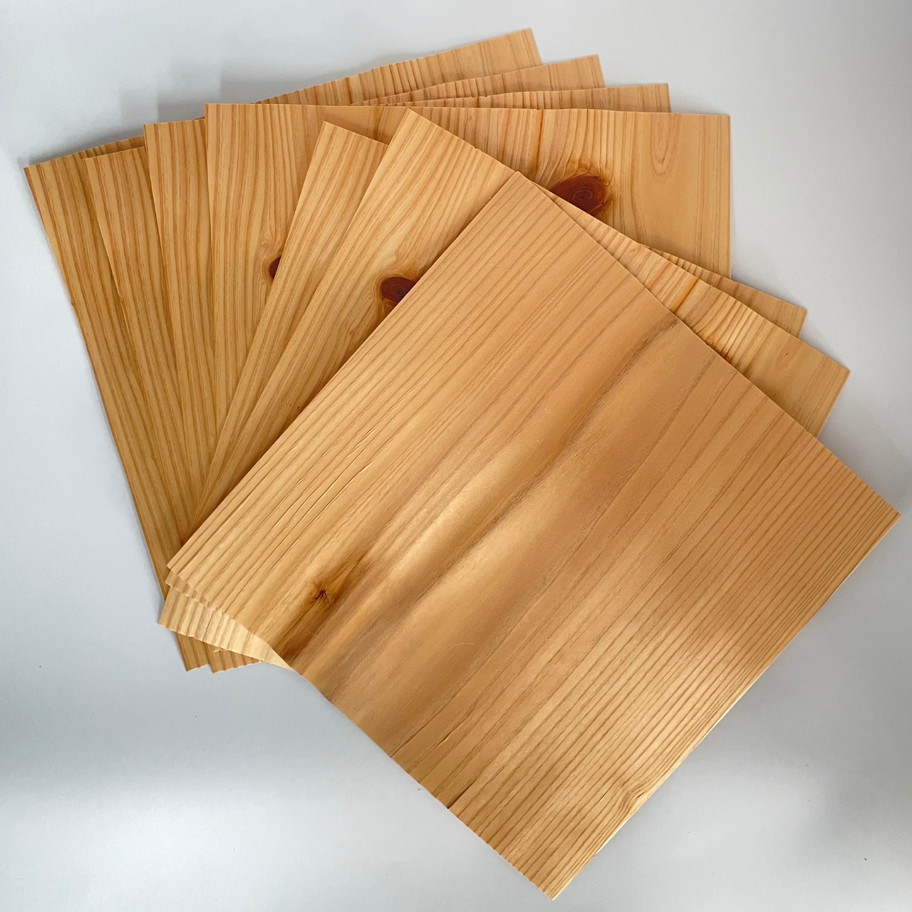 【免疫加工商品】杉シート(7枚入り)